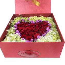 Fresh Flowerbox Roses Love Maroon